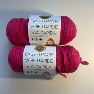 Lion Brand Fast Track yarn — 2 skeins